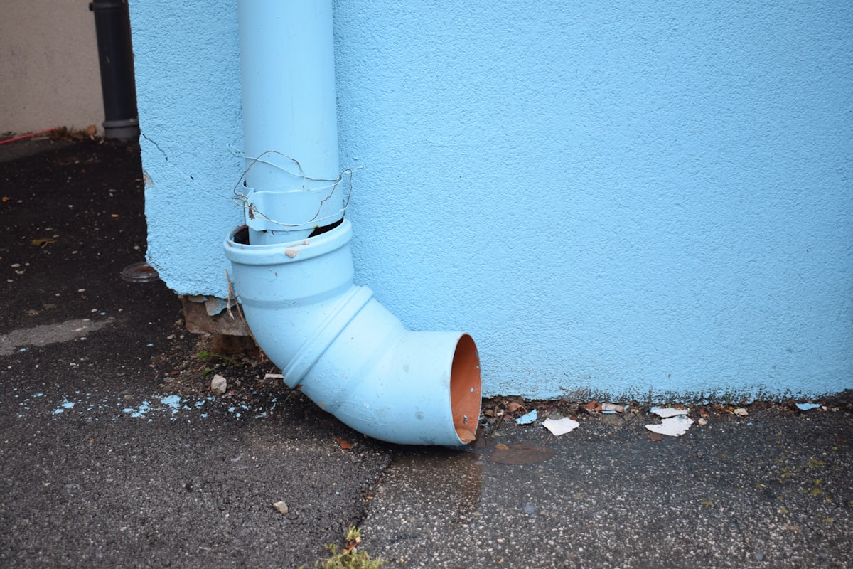 Mold Remediation service in Denver, CO