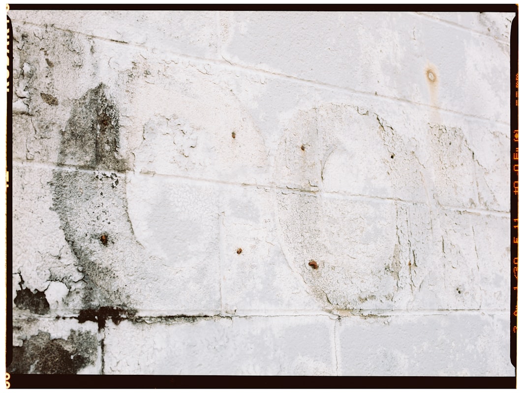 Commercial Water Damage service in Denver, CO