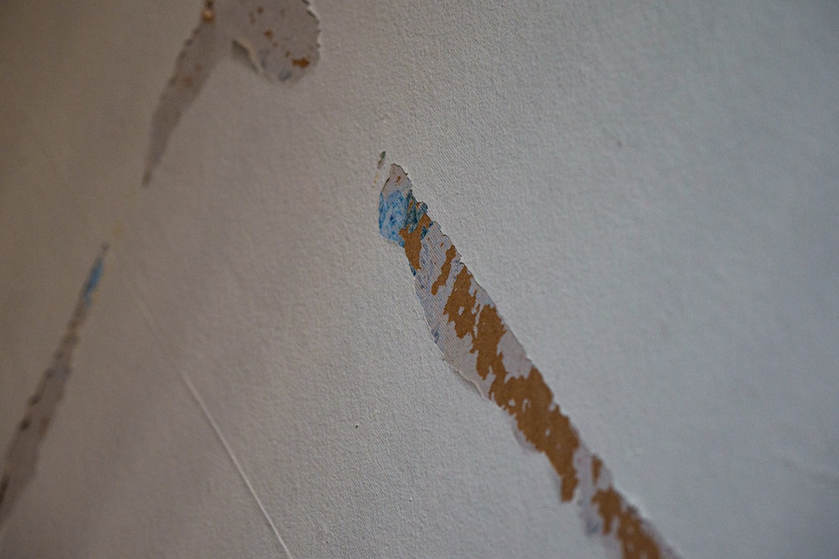 Sewage Cleanup service in Denver, CO